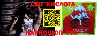 ГАЛЛЮЦИНОГЕННЫЕ ГРИБЫ Кимры