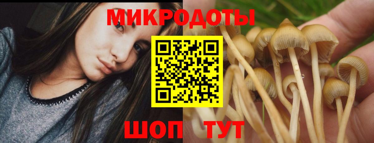 цена наркотик  Галлюциногенные грибы Cubensis  Вход с VPN  Краснодар 